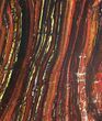 Polished Tiger Iron Stromatolite - ( Billion Years) #50738-1
